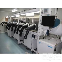 潍坊翻译服务 专业、高效的语言桥梁