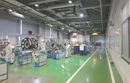 以教育之强谱写高质量发展新篇 浙大勇担使命，我与教育强国共成长