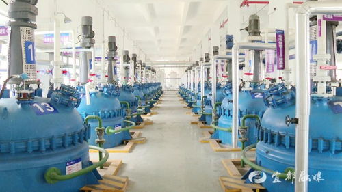 宜昌诚凯化工科研投入超500万元，新兴能源技术研发成新引擎